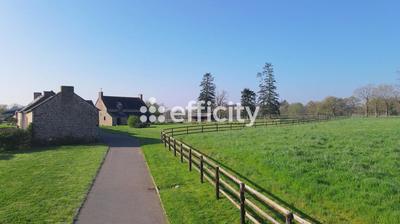 Maison de domaine équestre - 356 m² - 13 pièces