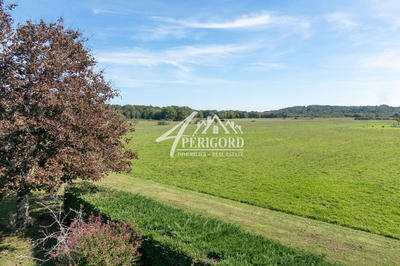 Ferme - 393 m² - 4 pièces