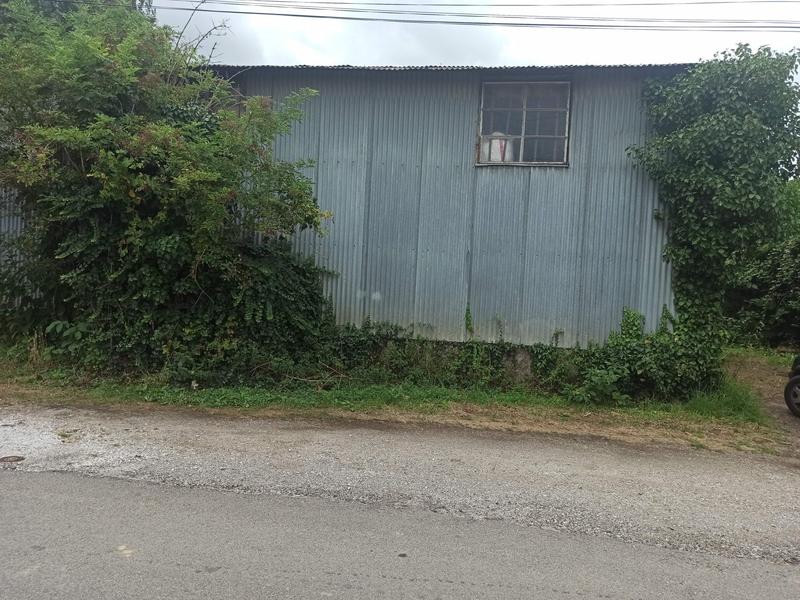 Entrepôt - 350 m² - 4 pièces