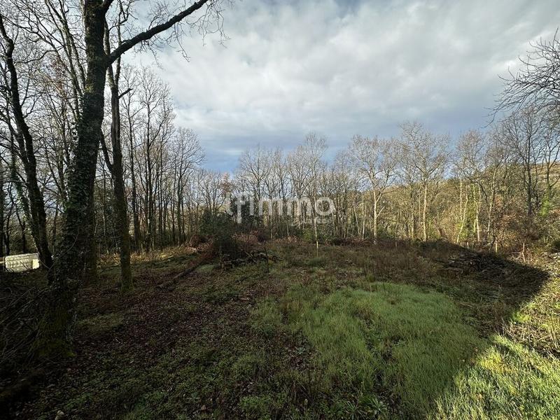 Terrain - 2 931 m²