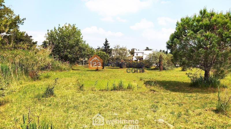 Maison - 320 m² - 10 pièces