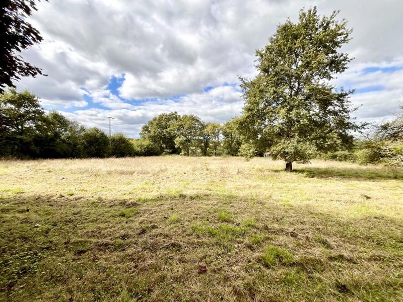 Maison de maîtres - 411 m² - 7 pièces