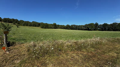 Terrain - 21 356 m²