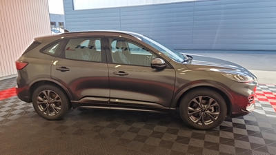 Ford Kuga 2.5 Duratec 190 Ch Fhev E-Cvt St-Line