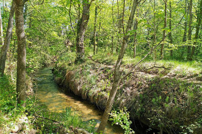 Mas - 270 m² - 14 pièces