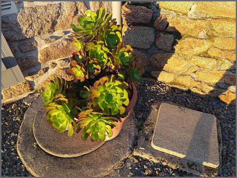 Ferme - 140 m² - 5 pièces