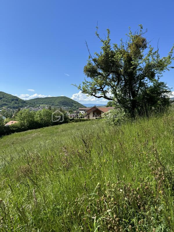 Terrain - 448 m²