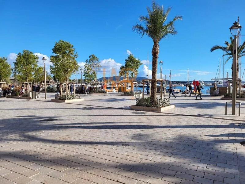 Appartement - 77 m² - 4 pièces