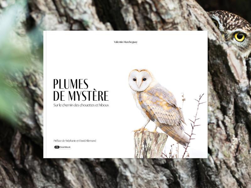 Semaine de la Biodiversité - Conférence avec le photographe animalier Valentin Marchegay