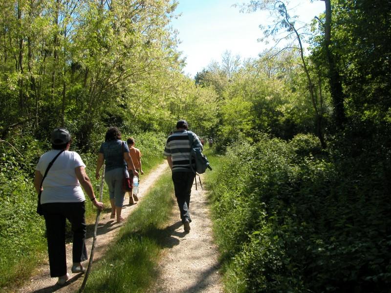 Voyage dans le passé