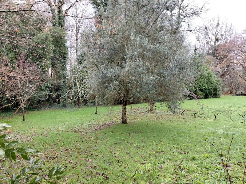 Maison ancienne - 120 m² - 4 pièces