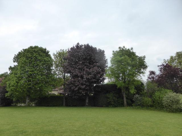 Maison d'architecte - 185 m² - 9 pièces