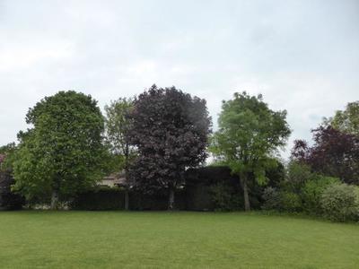 Maison d'architecte - 185 m² - 9 pièces