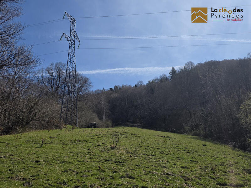 Maison ancienne - 100 m² - 1 pièce