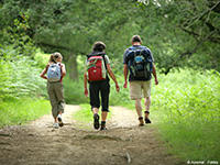 Randonnée pédestre