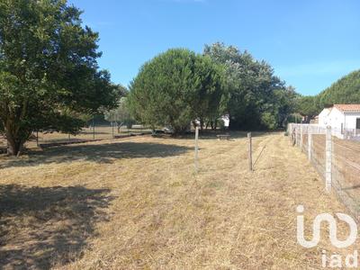 Terrain - 1 248 m²