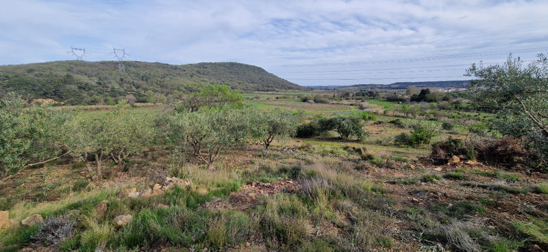 Terrain de loisirs - 20 600 m²