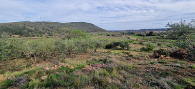 Terrain de loisirs - 20 600 m²