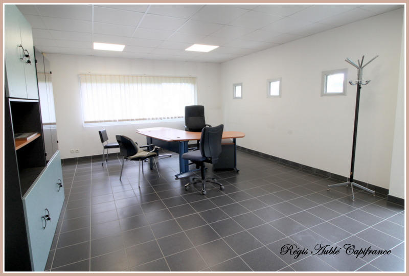 Entrepôt - 866 m² - 12 pièces