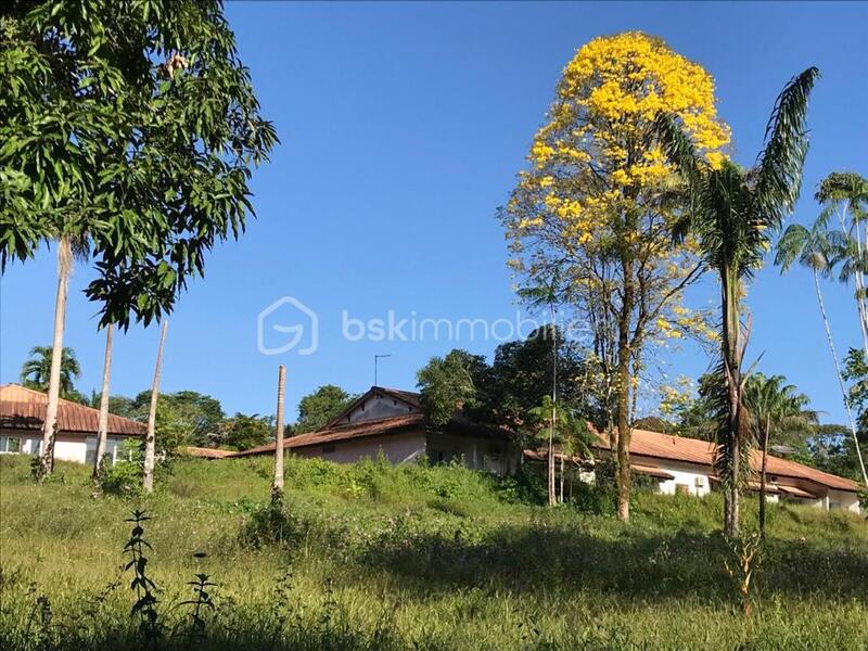 Immeuble - 1 429 m² - 25 pièces