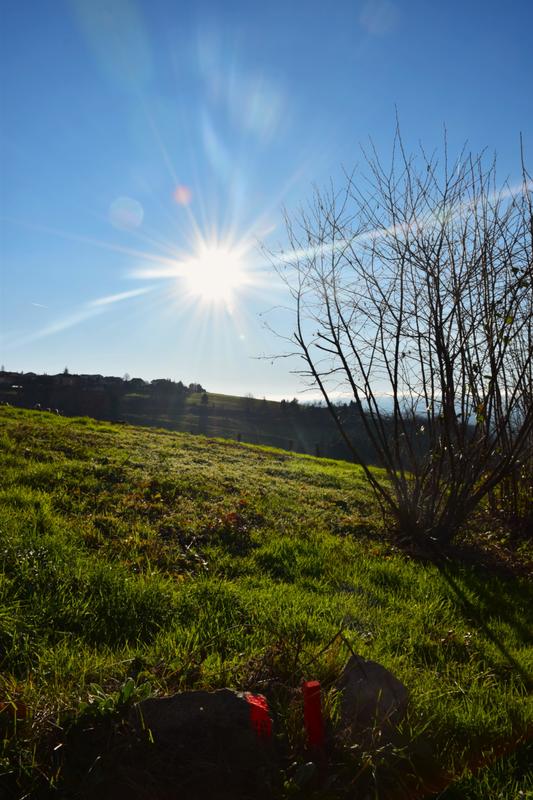 Terrain constructible - 516 m²