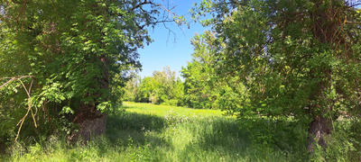 Terrain agricole - 6 045 m²