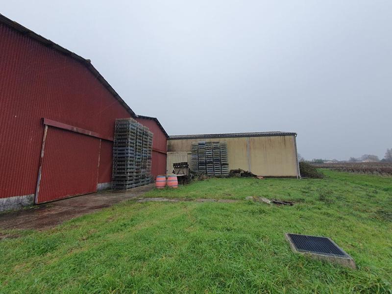 Local d'activité / Entrepôt - 1 600 m²