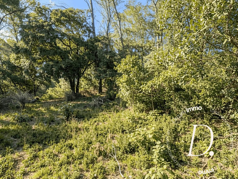 Terrain agricole - 2 000 m²