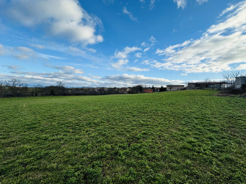 Terrain - 8 775 m²