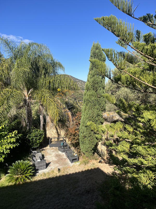 Maison - 250 m² - 3 pièces