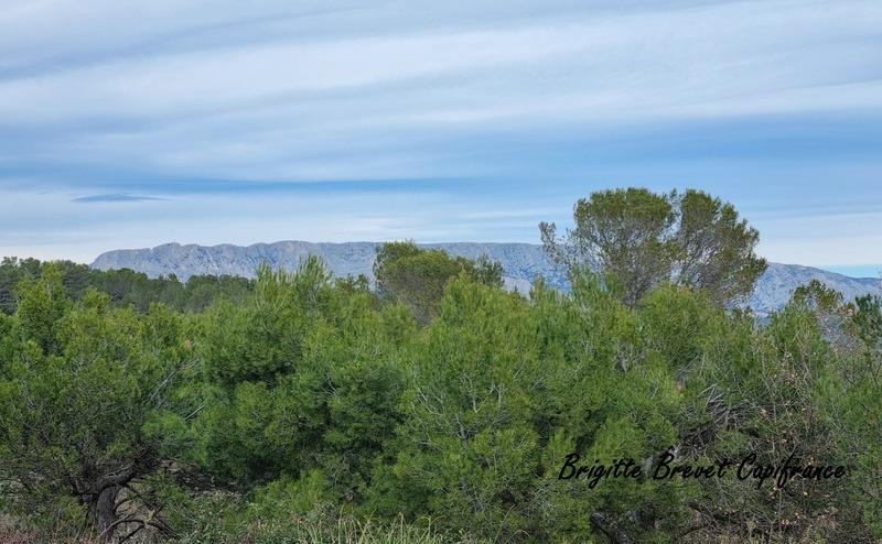 Maison - 176 m² - 7 pièces