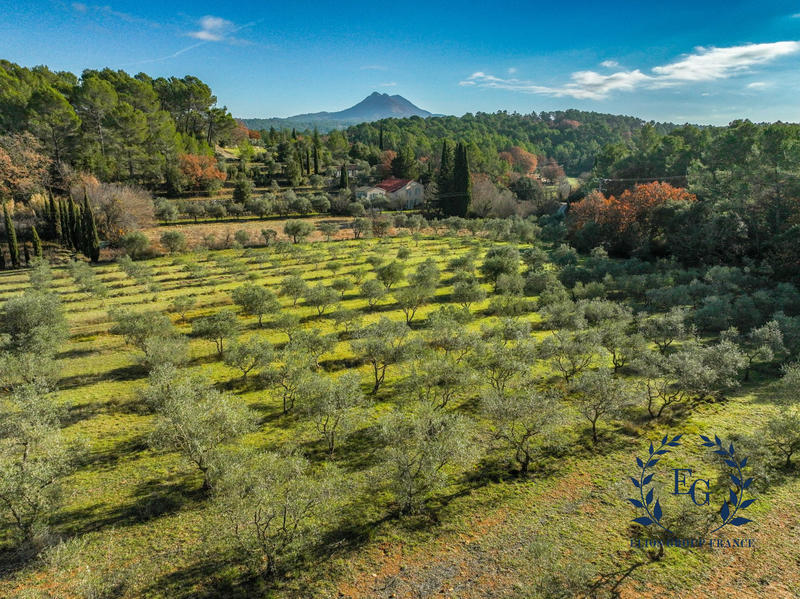 Bastide - 285 m² - 11 pièces
