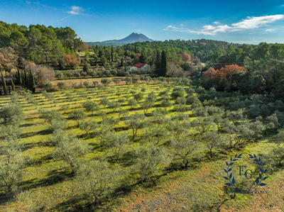 Bastide - 285 m² - 11 pièces