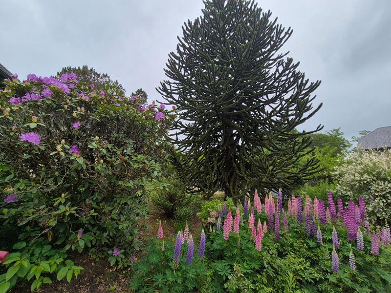 Maison - 78 m² - 6 pièces