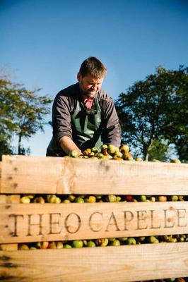 Visite de la cidrerie Théo Capelle
