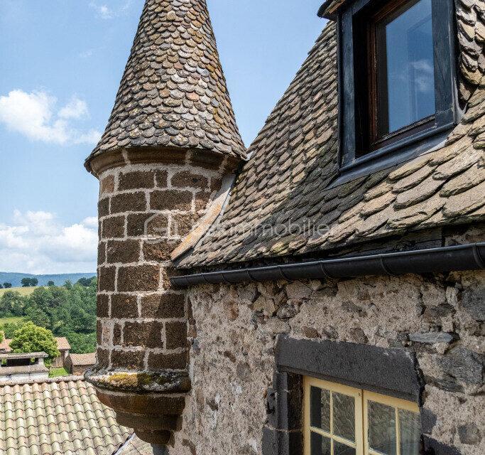 Château - 700 m² - 21 pièces