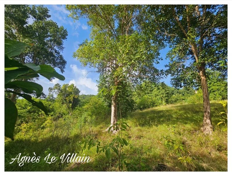 Terrain constructible - 2 983 m²