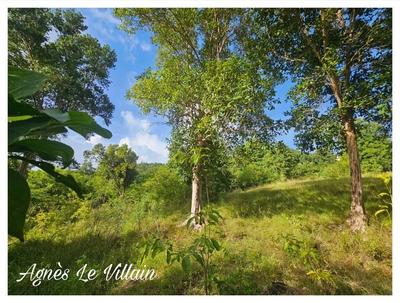 Terrain constructible - 2 983 m²