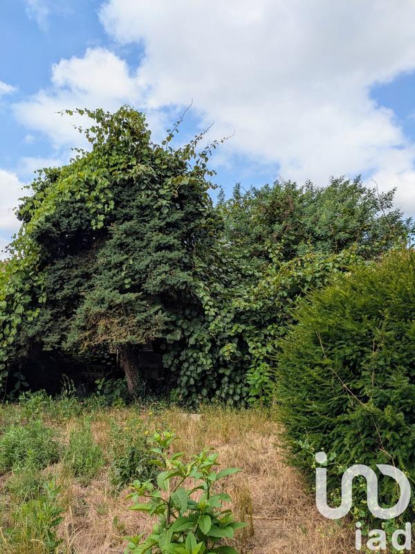 Maison de campagne - 185 m² - 7 pièces