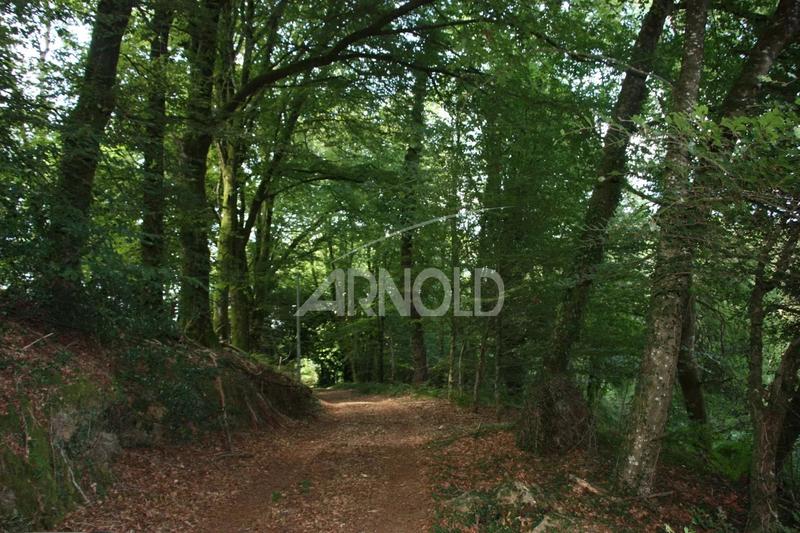 Moulin - 250 m² - 5 pièces