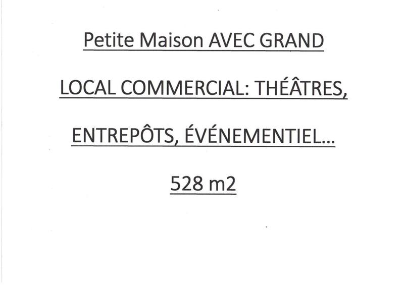 Immeuble - 528 m² - 10 pièces