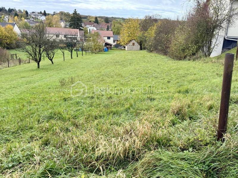 Terrain constructible - 700 m²