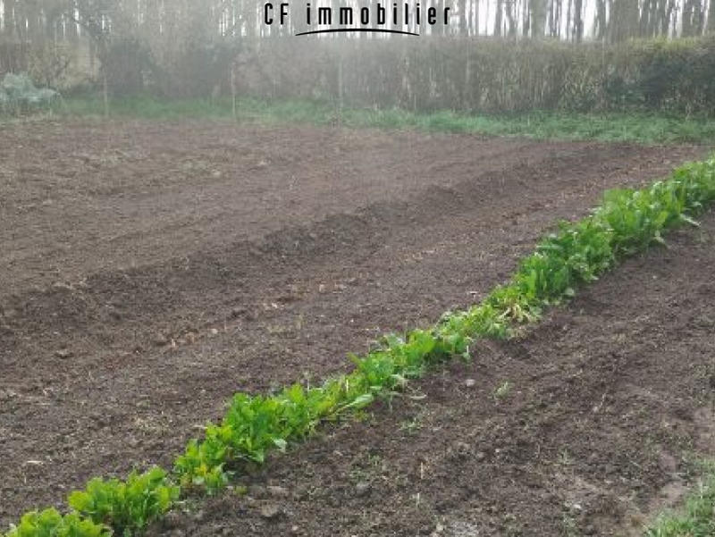 Maison - 28 m² - 2 pièces