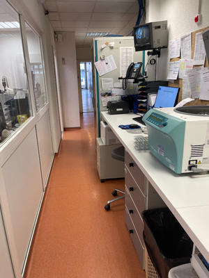 Local commercial - 338 m²