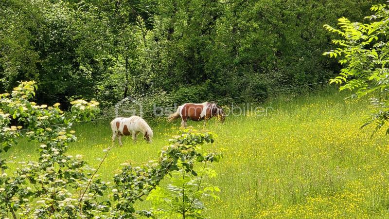 Maison - 180 m² - 8 pièces