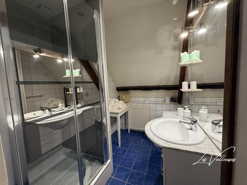 Maison ancienne - 230 m² - 10 pièces