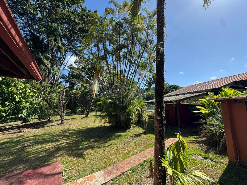 Fonds de commerce - 1 368 m²