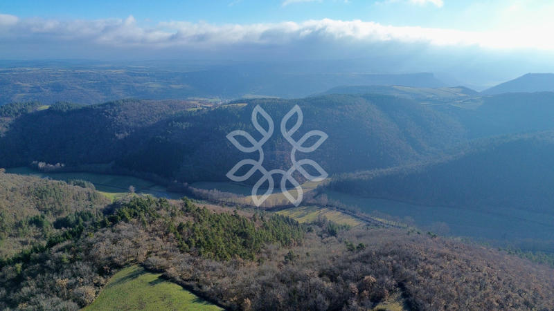 Propriété - 125 m² - 8 pièces