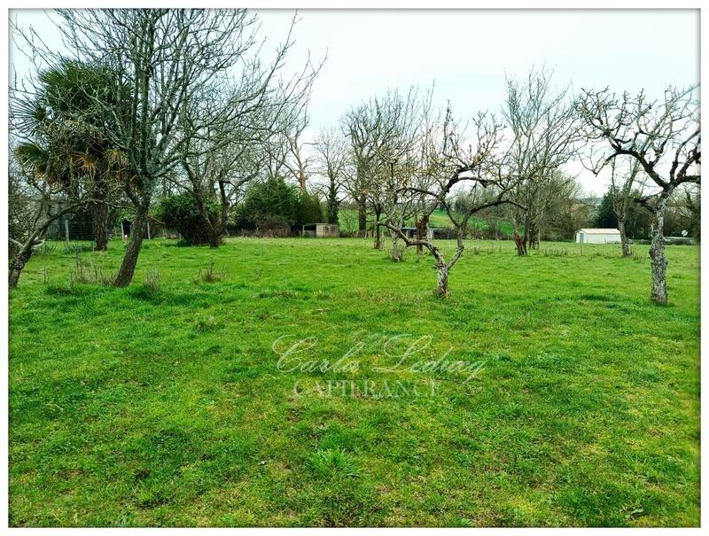 Terrain constructible - 1 623 m²