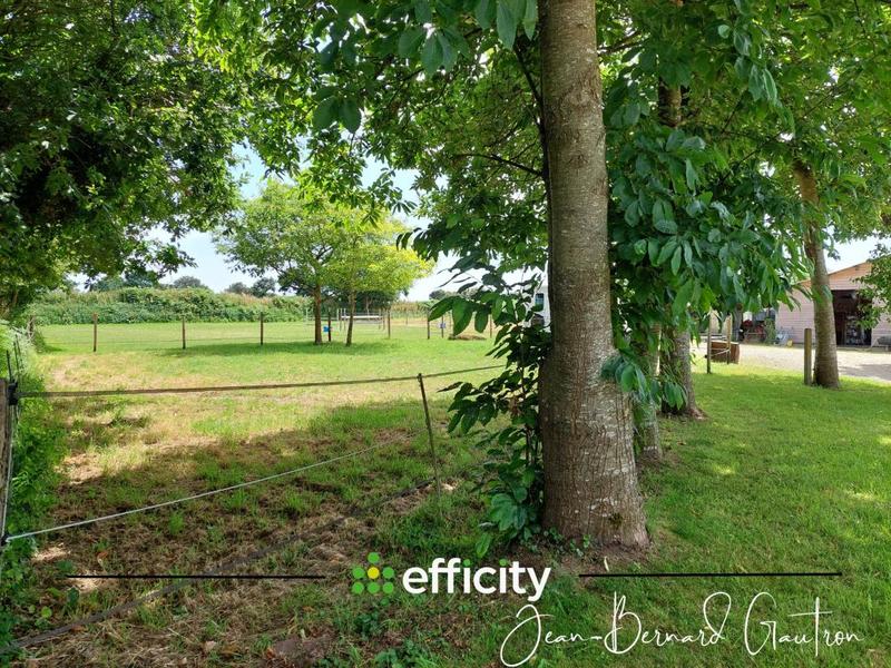 Maison de domaine équestre - 161 m² - 6 pièces